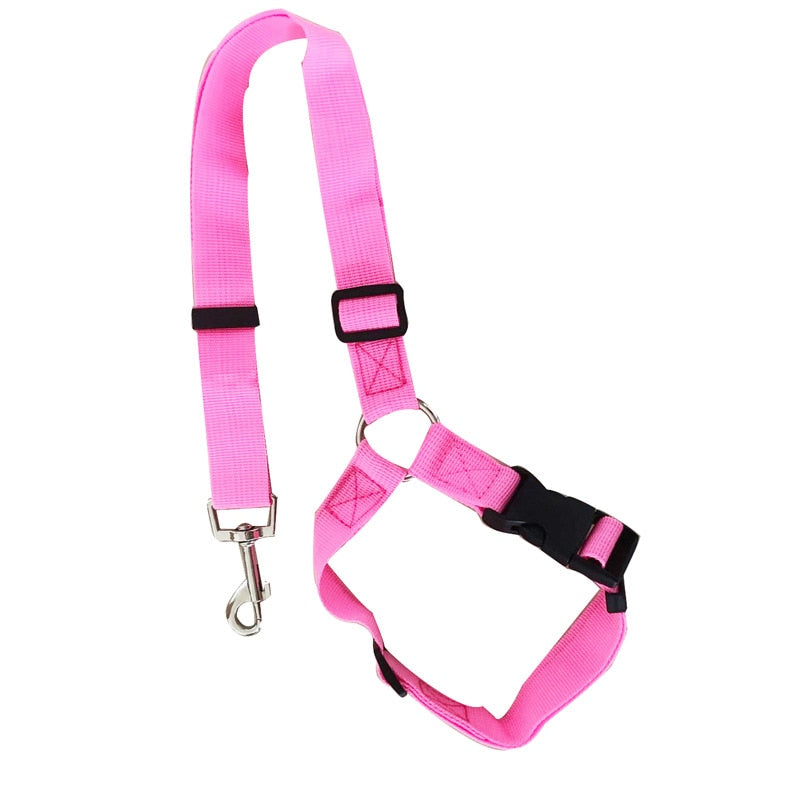 safedogcollar